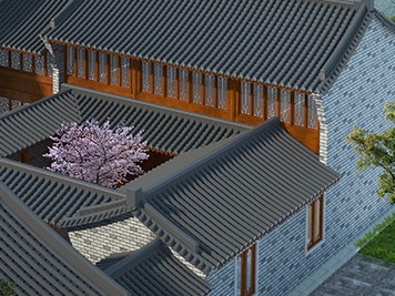 陜西古民居典型杰出代表
